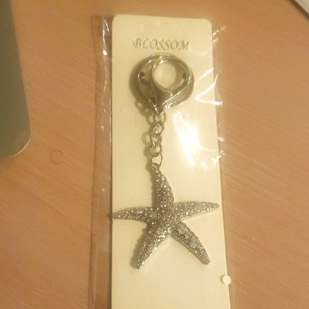 Silver Starfish Keychain Or Zipper Pull - Picture 1 of 3